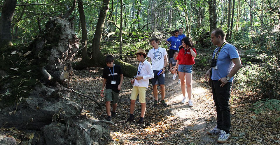 Nature walk